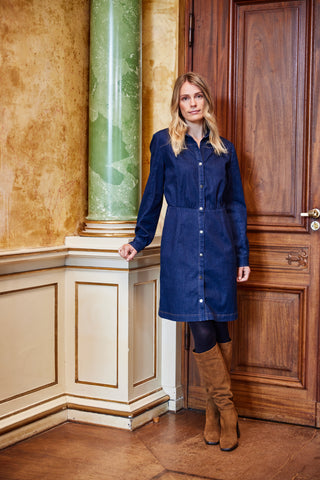 Fransa Chicago Denim Dress