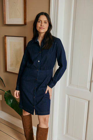 Fransa Chicago Denim Dress