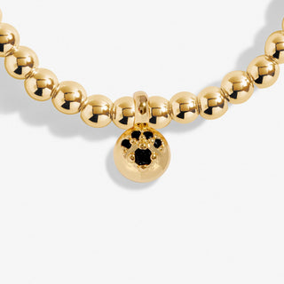 Joma Jewellery 8216 A Little Paw Print